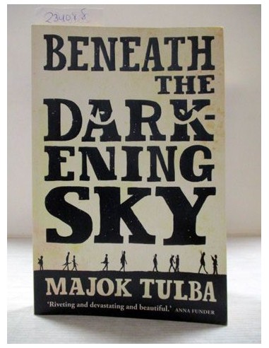 Beneath the Darkening Sky. Majok...