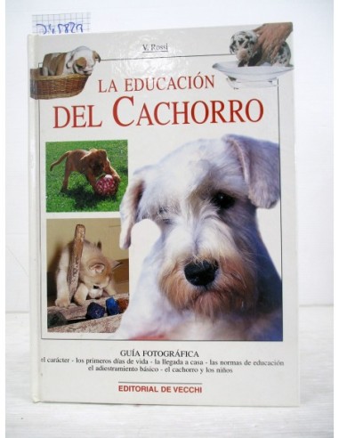 La Educación Del Cachorro. Valeria...